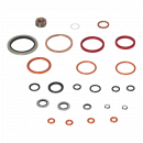 Seal kit for the PSL/PSV 5../...-5 starting section